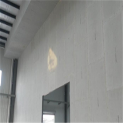 凤凰宁波ALC板|EPS加气板隔墙与混凝土整浇联接的实验研讨
